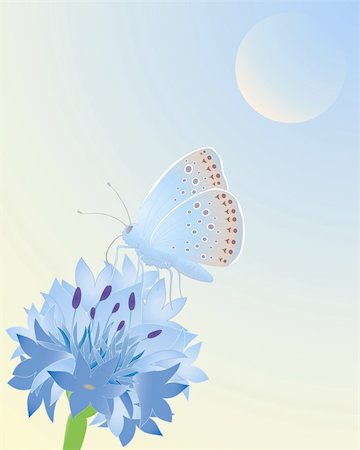 simsearch:400-04785692,k - an illustration of a blue butterfly resting on a cornflower under a blue sky Fotografie stock - Microstock e Abbonamento, Codice: 400-05752119