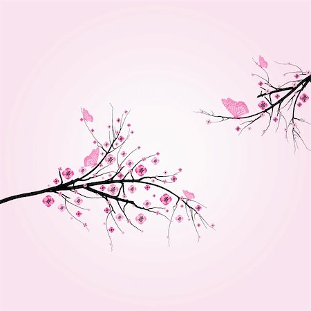 Beautiful blossom cherry and butterfly isolated on pink background Stock Photo - Budget Royalty-Free & Subscription, Code: 400-05752586