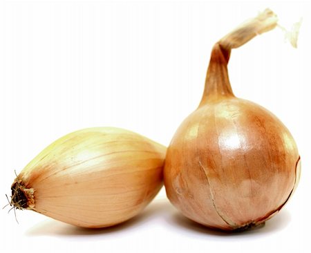 simsearch:400-07295971,k - Beautiful onion on a white background close-up Stock Photo - Budget Royalty-Free & Subscription, Code: 400-05752785