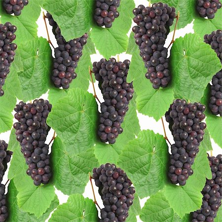 simsearch:400-05347888,k - Blue grape with green leaf, isolated on white background Foto de stock - Super Valor sin royalties y Suscripción, Código: 400-05752984