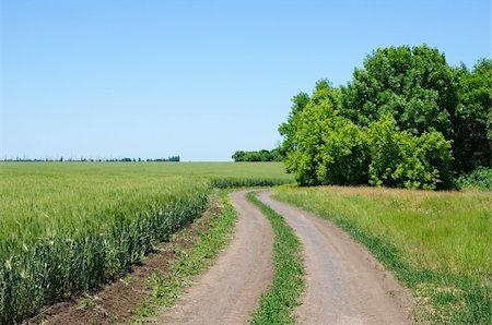 rural road under blue sky with tree Stockbilder - Microstock & Abonnement, Bildnummer: 400-05753142