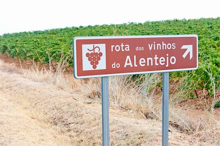 simsearch:400-07095252,k - vineyars and wine route in Alentejo, Portugal Fotografie stock - Microstock e Abbonamento, Codice: 400-05753415