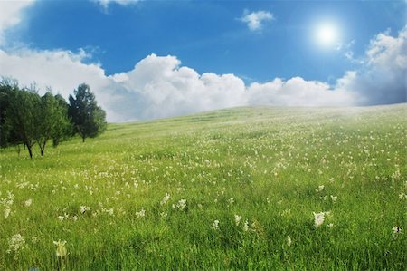 Summer time in the Carpathian mountains, Romania. Stock Photo - Budget Royalty-Free & Subscription, Code: 400-05875225