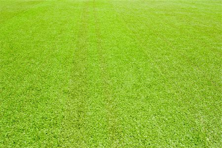 supertrooper (artist) - Texture of the field of green grass Photographie de stock - Aubaine LD & Abonnement, Code: 400-05875338