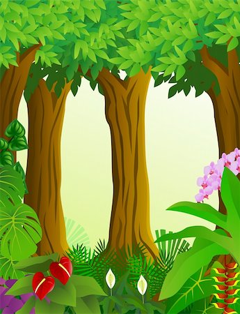 Forest illustration Stock Photo - Budget Royalty-Free & Subscription, Code: 400-05876677