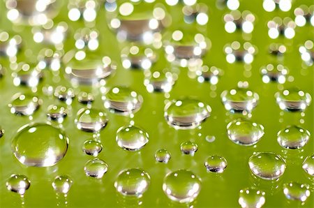 Morning dew on a green background. Macro shot. Stock Photo - Budget Royalty-Free & Subscription, Code: 400-05876915