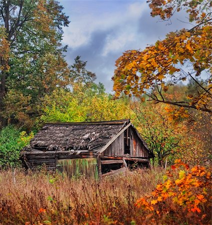 Old wooden house in russian village at autumn Stock Photo - Budget Royalty-Free & Subscription, Code: 400-05877079