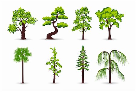 popcic (artist) - Trees icons Stockbilder - Microstock & Abonnement, Bildnummer: 400-05877167
