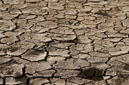 simsearch:400-05247506,k - Cracked by the heat long lifeless soil Stock Photo - Budget Royalty-Free & Subscription, Code: 400-05877234