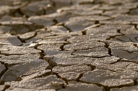 simsearch:400-05247506,k - Cracked by the heat long lifeless soil Stock Photo - Budget Royalty-Free & Subscription, Code: 400-05877238