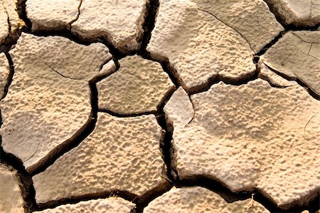 simsearch:400-05292342,k - Cracked by the heat long lifeless soil Stock Photo - Budget Royalty-Free & Subscription, Code: 400-05877232