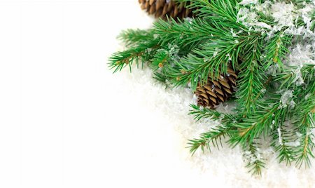 simsearch:400-06391837,k - Branch of Christmas tree on white snow Stock Photo - Budget Royalty-Free & Subscription, Code: 400-05877243