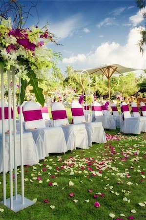 ersler (artist) - fragment like view of nice chairs ready for wedding ceremony Foto de stock - Royalty-Free Super Valor e Assinatura, Número: 400-05877335