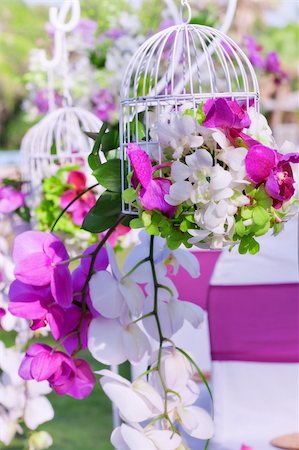 ersler (artist) - close up view of nice fresh bouquet  on color   back Photographie de stock - Aubaine LD & Abonnement, Code: 400-05877341