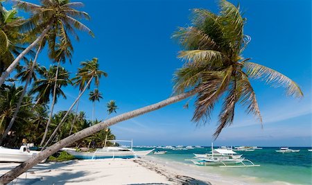 philippines outrigger canoe - single palm tree on a philippine beach Stock Photo - Budget Royalty-Free & Subscription, Code: 400-05877857