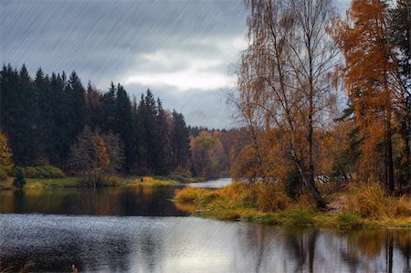 simsearch:400-04873565,k - Landscape with forest lake in autumn rainy day Fotografie stock - Microstock e Abbonamento, Codice: 400-05878041