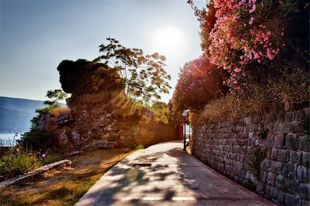 stair for mountain - Street with violet oleander in coastal town Herceg Novi in Montenegro Stock Photo - Budget Royalty-Free & Subscription, Code: 400-05878067