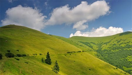 simsearch:400-09275242,k - Mountain pastures in Ukraine. Carpathian mountains. Chornogora ridge Photographie de stock - Aubaine LD & Abonnement, Code: 400-05878185