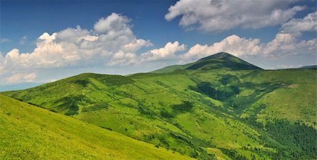 forest path panorama - Alpine mountain meadows under Petros mount. Ukraine. Chornogora ridge Stock Photo - Budget Royalty-Free & Subscription, Code: 400-05878187