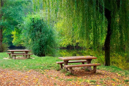 Two picnic tables, grass and trees by the river Foto de stock - Super Valor sin royalties y Suscripción, Código: 400-05878725