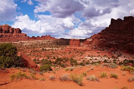 simsearch:400-05119470,k - Red Desert, Arches National Park, Utah, USA Photographie de stock - Aubaine LD & Abonnement, Code: 400-05879291