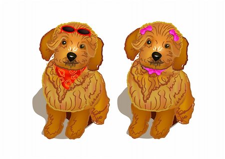fashion dog cartoon - A pair of  brown poodle dogs with modern fashion Stock Photo - Budget Royalty-Free & Subscription, Code: 400-05879706