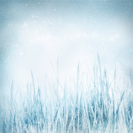defocus - Winter  abstract nature background with frozen grass in the meadow and snow. Christmas holiday background Stock Photo - Budget Royalty-Free & Subscription, Code: 400-05884139