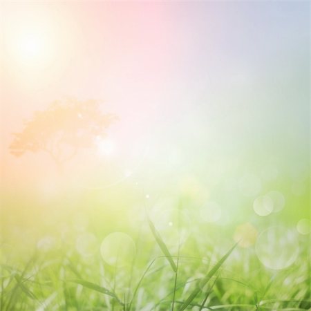 simsearch:400-05921307,k - Spring or summer abstract nature background with grass in the meadow and sunset sky in the back Foto de stock - Super Valor sin royalties y Suscripción, Código: 400-05884131