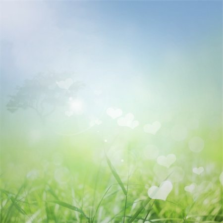 simsearch:400-04869732,k - Spring or summer abstract Valentine nature background with grass in the meadow and blue sky in the back Stock Photo - Budget Royalty-Free & Subscription, Code: 400-05884132