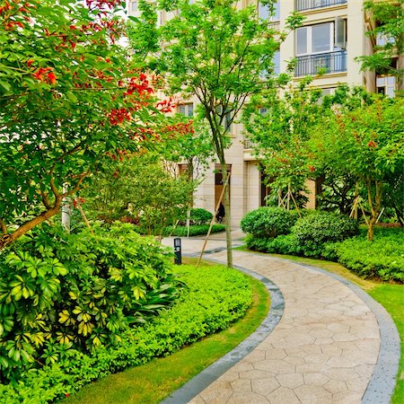 footpath of the garden wiht flaower and plant outdoor. Stock Photo - Budget Royalty-Free & Subscription, Code: 400-05884534