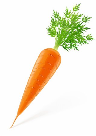 ration - carrot with top vector illustration isolated on white background Stock Photo - Budget Royalty-Free & Subscription, Code: 400-05884631