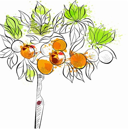 dessert to sketch - Decorative background with tangerine tree Stock Photo - Budget Royalty-Free & Subscription, Code: 400-05885352