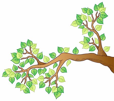 forest cartoon illustration - Cartoon tree branch with leaves 1 - vector illustration. Foto de stock - Super Valor sin royalties y Suscripción, Código: 400-05885687