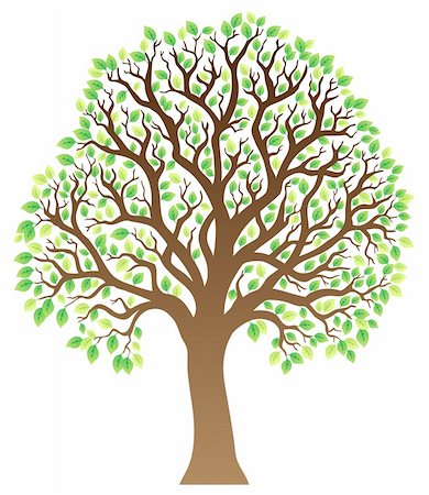forest cartoon illustration - Tree with green leaves 1 - vector illustration. Foto de stock - Super Valor sin royalties y Suscripción, Código: 400-05885718