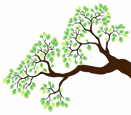 drawings of tree branches - Tree branch with green leaves 1 - vector illustration. Stock Photo - Budget Royalty-Free & Subscription, Code: 400-05885713