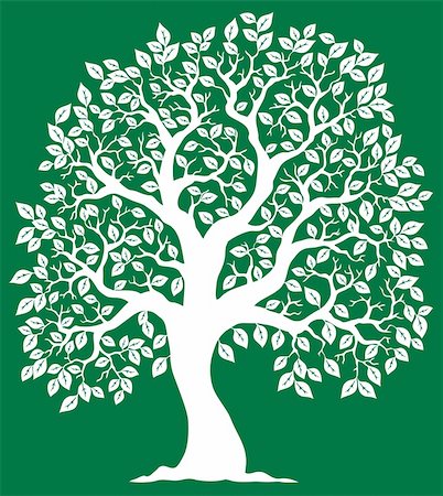 drawings of tree branches - White tree on green background 2 - vector illustration. Stock Photo - Budget Royalty-Free & Subscription, Code: 400-05885723