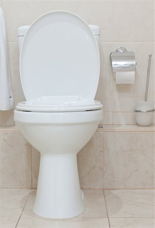 White clean toilet bowl in modern  bathroom Stock Photo - Budget Royalty-Free & Subscription, Code: 400-05886006