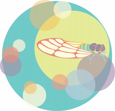 Vector cicada illustration circles color Stock Photo - Budget Royalty-Free & Subscription, Code: 400-05886274
