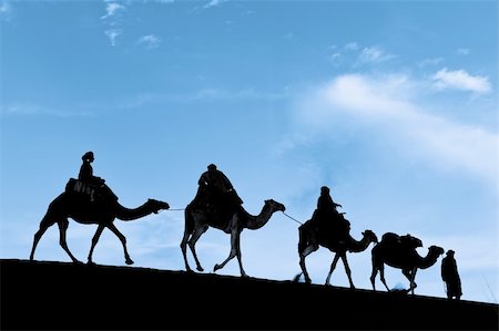 Camel caravan going through the sand dunes in the Sahara Desert, Morocco. Stock Photo - Budget Royalty-Free & Subscription, Code: 400-05887067