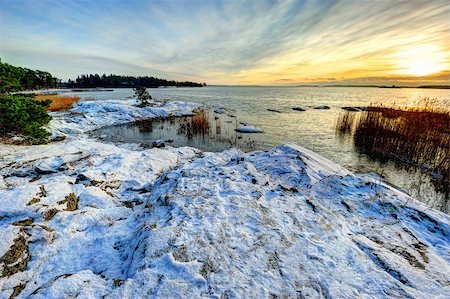 sedge grasses - Winter sunset at the Baltic sea in Finland Stock Photo - Budget Royalty-Free & Subscription, Code: 400-05887437