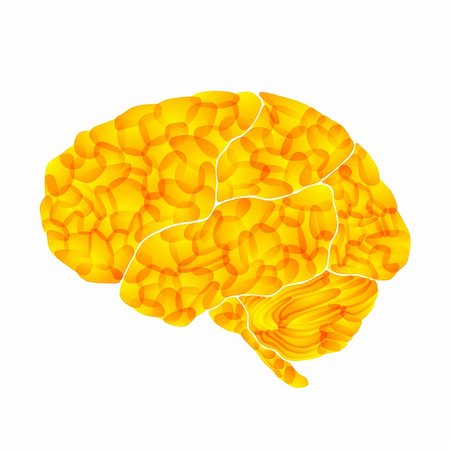 human brain, yellow marrow, vector abstract background Stock Photo - Budget Royalty-Free & Subscription, Code: 400-05888506