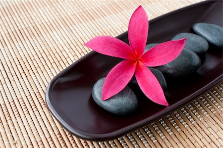 simsearch:400-08047111,k - Tropical Plumeria Frangipani with spa stone on bamboo mat for spa and wellness concept Stock Photo - Budget Royalty-Free & Subscription, Code: 400-05888860
