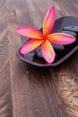 simsearch:400-08047111,k - Tropical Plumeria Frangipani with spa stone on wooden table for spa and wellness concept with space for text Stock Photo - Budget Royalty-Free & Subscription, Code: 400-05888861
