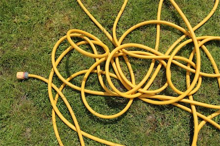 Yellow hose pipe on a green grass lawn. Photographie de stock - Aubaine LD & Abonnement, Code: 400-05889400