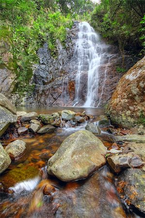 simsearch:400-04779920,k - Deep forest waterfall Stock Photo - Budget Royalty-Free & Subscription, Code: 400-05889612
