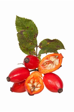 rosa silvestre - bunch of red fruit rose with leaf Foto de stock - Super Valor sin royalties y Suscripción, Código: 400-05880087