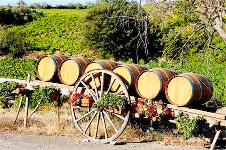 roussillon - vineyard with barrels, Villeneuve-les-Corbieres, Languedoc-Roussillon, France Stock Photo - Budget Royalty-Free & Subscription, Code: 400-05880600