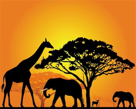 black silhouettes of African animals in the savannah on an orange background Foto de stock - Super Valor sin royalties y Suscripción, Código: 400-05880838