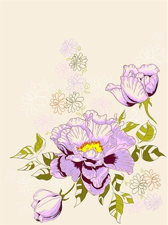 floral patterns peony - hand drawn vector floral background with peony Foto de stock - Super Valor sin royalties y Suscripción, Código: 400-05881262