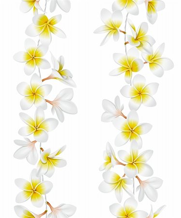 Tropical necklace seamless border. Lei flowers. Vector Illustration Photographie de stock - Aubaine LD & Abonnement, Code: 400-05881434